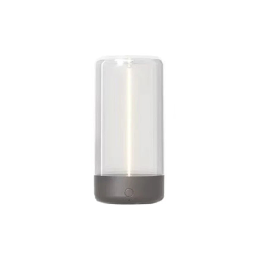 Quantum wire ambient magnetic light
