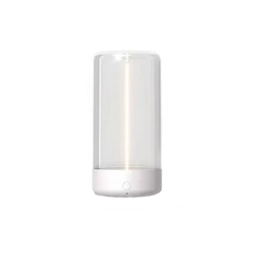Quantum wire ambient magnetic light